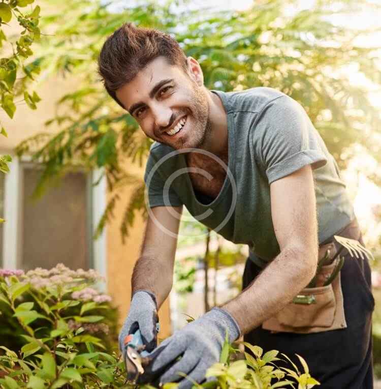 Hardscaping materials and installation work