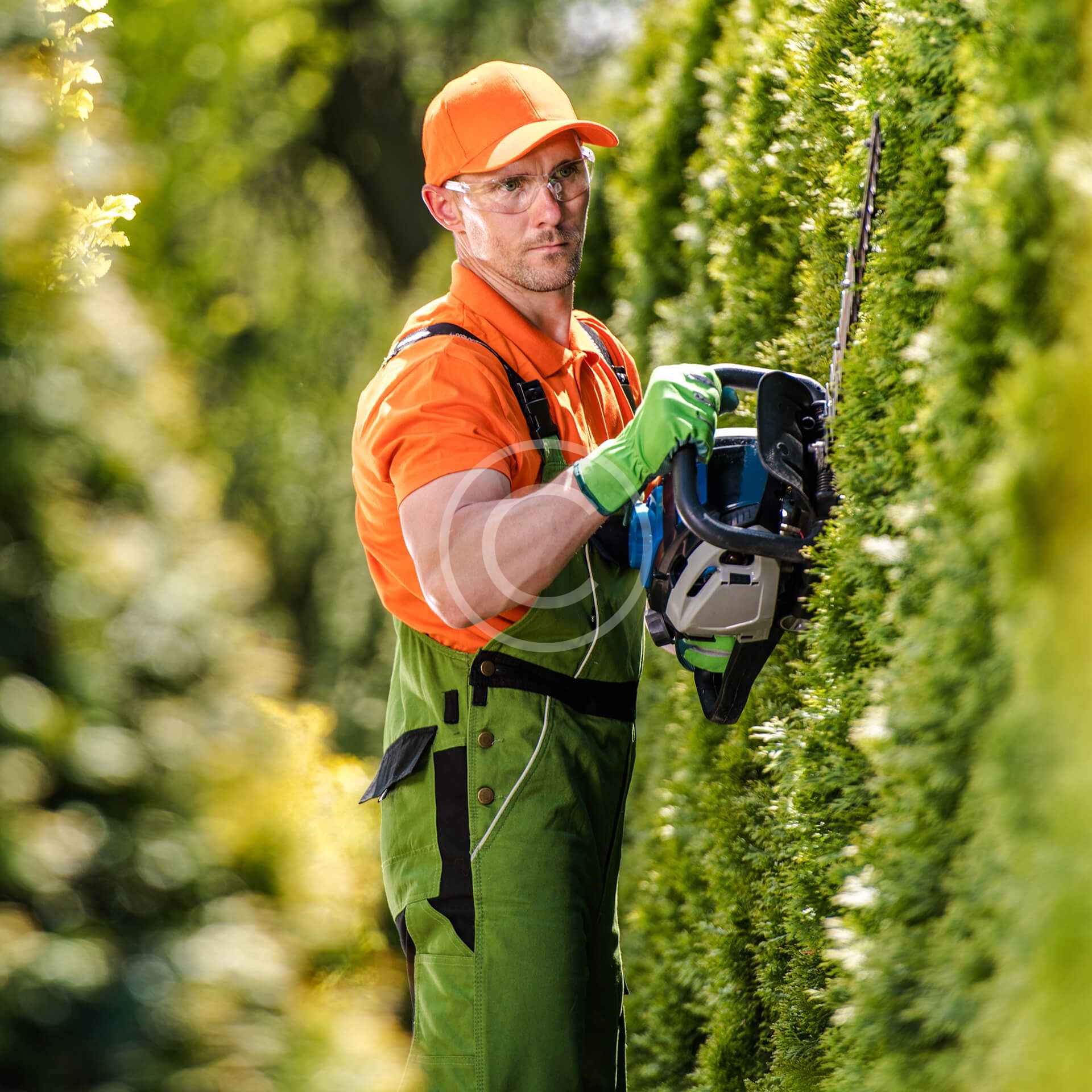 Seasonal yard cleanup services in a Denver neighborhood